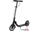 Двухколесный подростковый самокат Maxiscoo Sea Pro 2023 MSC-SA-2301 (графит)