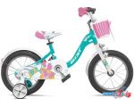 Детский велосипед AIST Skye 16 2022 (бирюзовый)