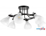 Припотолочная люстра Lightstar Acrobata 761060