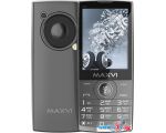 Кнопочный телефон Maxvi P19 (серый)
