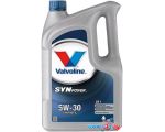 Моторное масло Valvoline Synpower DX1 5W-30 5л в интернет магазине