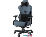 Кресло AndaSeat T-Pro 2 (голубой/черный)