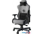 Кресло AndaSeat T-Pro 2 (серый/черный)