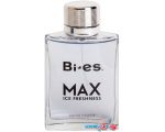 Туалетная вода BI-ES Max Ice Freshness EdT 100 мл