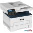 МФУ Xerox B225DNI в Гродно фото 2