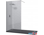 Душевая стенка RGW WA-010 120 (хром/матовое стекло)