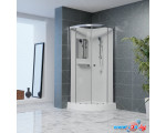 Душевая кабина RGW AN-208 381320800-12 100x100 (хром-матовый/прозрачное стекло)