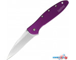 Складной нож Kershaw 1660PUR Leek