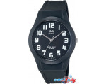 Наручные часы Q&Q VQ50J004