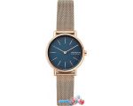 Наручные часы Skagen SKW2837