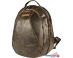 Городской рюкзак Carlo Gattini Quarto 3082-04 (темно-коричневый)