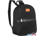 Городской рюкзак Cedar Lorenti LR-PL15601 (черный)