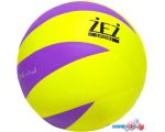 Волейбольный мяч Zez BZ-1901 (5 размер, желтый/фиолетовый)