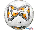 Футбольный мяч Leonord 998220 (5 размер)