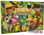 Детская настольная игра Danko Toys Animal Discovery G-AD-01-01