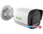 IP-камера Tiandy TC-C38WS I5/E/Y/M/2.8mm/V4.0