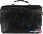 Мужская сумка Poshete 253-35202-24-BLK (черный)