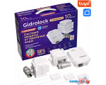 Набор защиты от протечек Gidrolock Standard Wi-Fi Tiemme 3/4