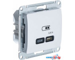 Розетка Type-C Schneider Electric Glossa GSL000127