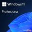 Операционная система Microsoft Windows 11 Pro 64-bit OEI DVD FQC-10547 (1 ПК, бессрочная лицензия, для корпоративного использования) в Бресте фото 1