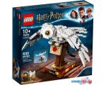 Конструктор LEGO Harry Potter 75979 Букля