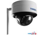 IP-камера TRASSIR TR-W2D5