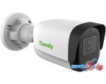 IP-камера Tiandy TC-C32WN I5/E/Y/M/4mm/V4.1