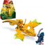 Конструктор LEGO Ninjago 71803 Удар восходящего дракона Арин в Витебске фото 3