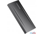 Внешний накопитель Digma MEGA X DGSM8256G2MGG 256GB