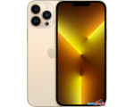 Смартфон Apple iPhone 13 Pro Max 256GB Восстановленный by Breezy, грейд B (золотистый)
