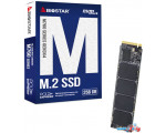 SSD BIOSTAR M760 256GB M760-256GB