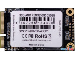 SSD AMD Radeon R5 256GB R5MS256G5