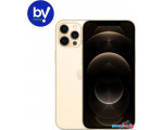Телефон Apple iPhone 12 Pro Max 128GB Восстановленный by Breezy, грейд A (золотистый)