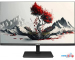 Монитор RDW Computers 2401K/F00В3100V2A1H