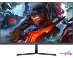 Игровой монитор ELSA EA251S