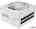 Блок питания Gigabyte AE1000PM PG5 ICE