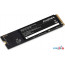 SSD Digma Mega P5 256GB DGSM3256GP53T в Могилёве фото 1