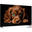 Телевизор Topdevice 55 QLED CQ09 в Могилёве фото 4
