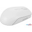 Мышь Lenovo 300 Wireless Compact GY51L15677 в Могилёве фото 3