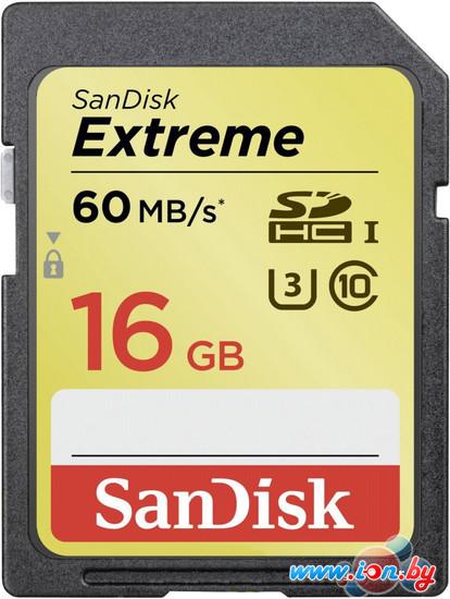 Карта памяти SanDisk Extreme SDHC UHS-I U3 Class 10 16GB (SDSDXN-016G-G46) в Могилёве