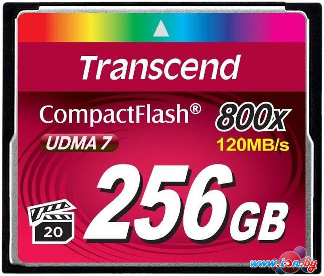 Карта памяти Transcend 800x CompactFlash Premium 256GB (TS256GCF800) в Минске