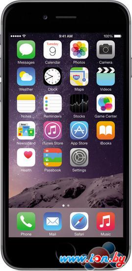 Смартфон Apple iPhone 6 16GB Space Gray в Витебске