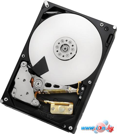 Жесткий диск Hitachi Deskstar NAS 5TB (H3IKNAS500012872SE) в Могилёве