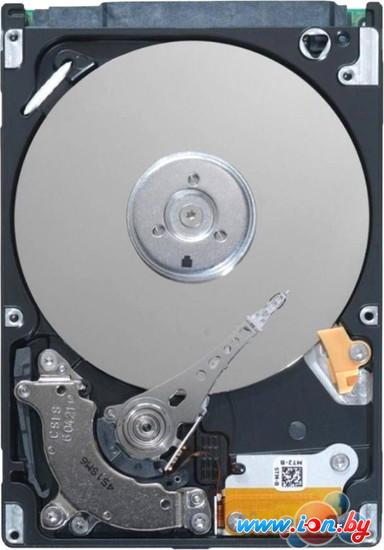 Жесткий диск Seagate Spinpoint M8 500GB (ST500LM012) в Бресте