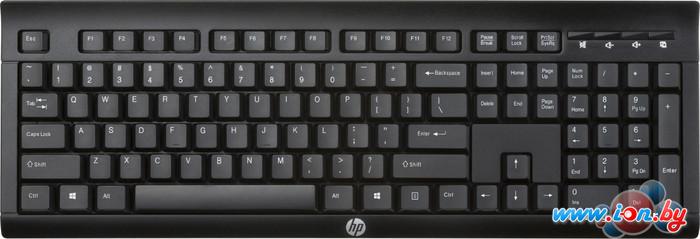 Клавиатура HP K2500 (E5E78AA) в Могилёве