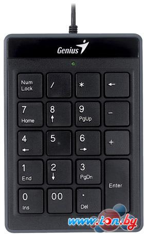 Клавиатура Genius Numpad i110 в Могилёве