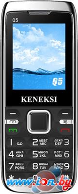 Мобильный телефон Keneksi Q5 в Могилёве