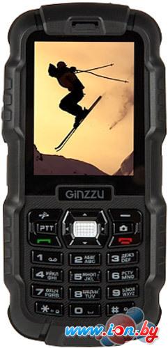 Мобильный телефон Ginzzu R6 Dual в Могилёве