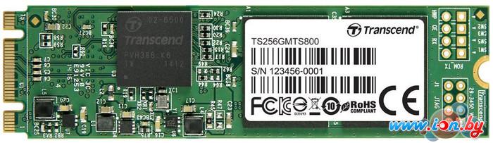 SSD Transcend MTS800 256GB (TS256GMTS800) в Гродно