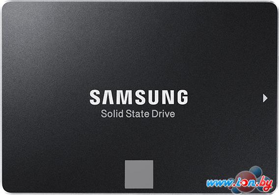 SSD Samsung 850 Evo 1TB (MZ-75E1T0) в Бресте